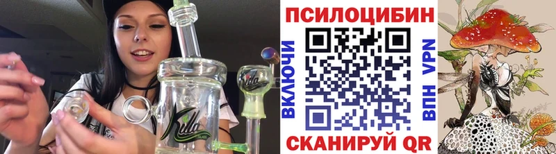 Псилоцибиновые грибы Psilocybine cubensis  купить   Кемерово 