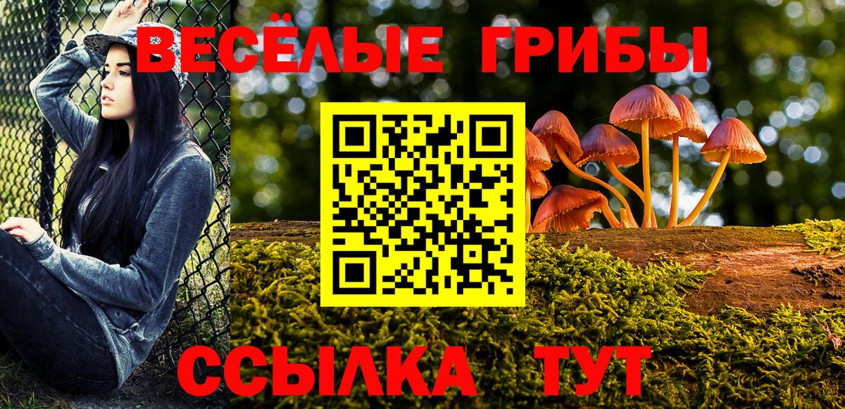 Псилоцибиновые грибы GOLDEN TEACHER Кемерово