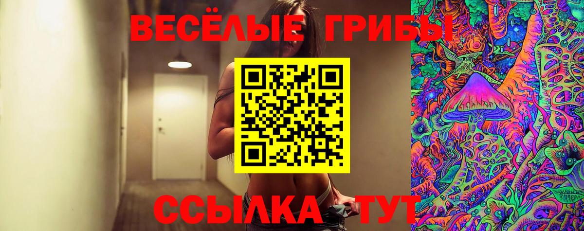 Псилоцибиновые грибы Magic Shrooms  Галлюциногенные грибы Magic Shrooms  Вход с VPN  Кемерово 